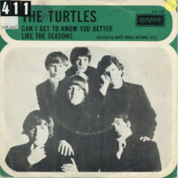 Turtles - Can I Get To Know You Better