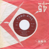 2 Tophits Serie 10 - Beatles Cover Versions