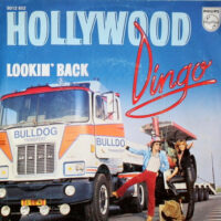 Dingo - Hollywood