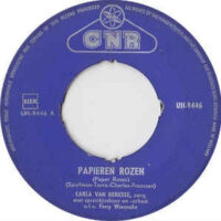Carla van Renesse - Papieren Rozen