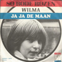 Wilma - 80 Rode Rozen