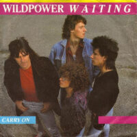 Wildpower - Waiting