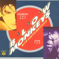 Blow Monkeys - (Celebrate) The Day After You