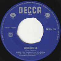 Dorus - Orchidee