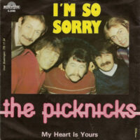 Picknicks - I'm So Sorry