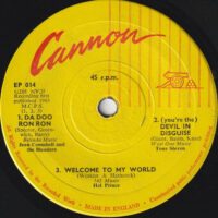 Various - Cannon Ep