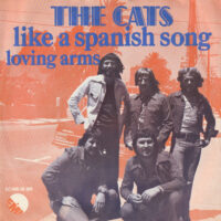 Cats - Like A Spanish Song