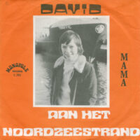 David - Aan Het Noordzeestrand
