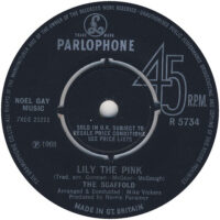 Scaffold - Lily The Pink