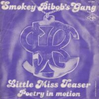 Smokey Bibob's Gang - Little Miss Teaser