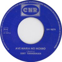 Gert Timmerman  - Ave Maria No Morro