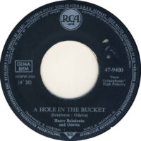 Harry Belafonte - A Hole In The Bucket