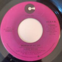 Stevie Woods - Woman In My Life